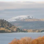 Norwood House 펜션 *